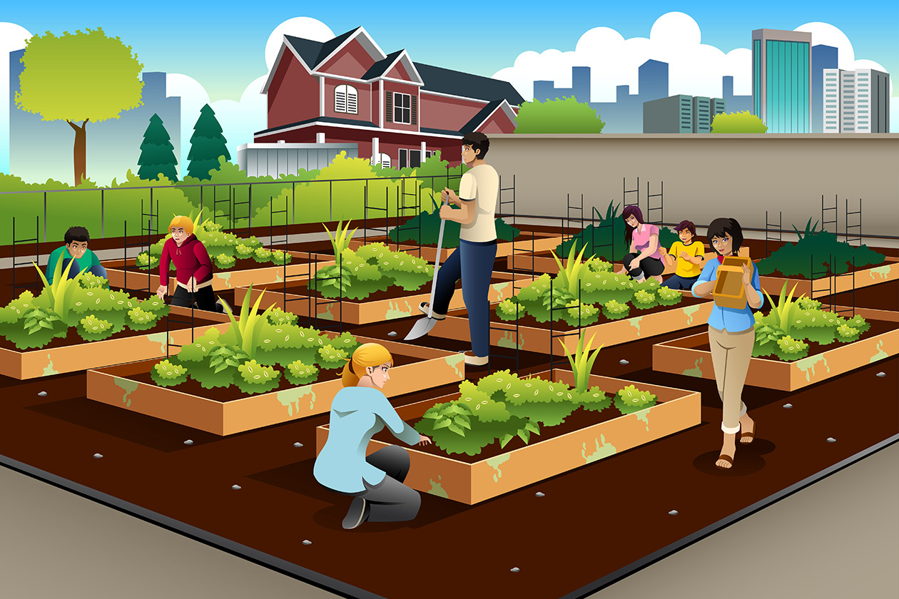 The real value of urban farming. (Hint: It’s not always the food.)