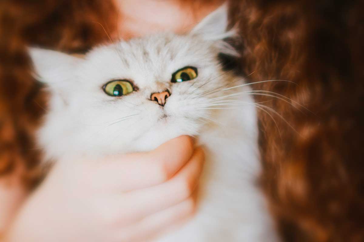 21 Extremely Funny Thoughts To Celebrate Every Day